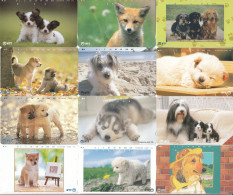 12 X Rar Japan NTT Old Phonecards 231  Nice Thematik - Hunde Dog Wau Wau -2- - Japan