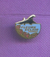 Rare Pins Avion Concorde Chronopost Egf Q785 - Avions