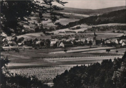 55796 - Bad Driburg-Alhausen - Dörfchen - Ca. 1960 - Bad Driburg