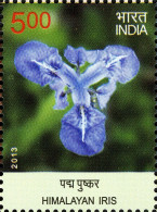 India 2013 India Wild Flowers HIMALAYAN IRIS MNH - Orchids