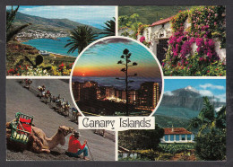066158/ Islas Canarias, Canary Islands - Sonstige & Ohne Zuordnung