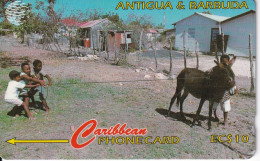 TARJETA DE ANTIGUA & BARBUDA DE UNOS NIÑOS Y UN BURRO (17CATA ) - Antigua U. Barbuda