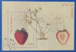 Bloc N° F4535  Avec Oblitération Cachet à Date Philatélique De 2011  Etat Bien - Oblitérés