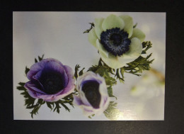 Aland - Birthday Card With Aland Flowers - Stationery Card - Aland