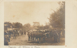 Courçon D'aunis * RARE Carte Photo * Le Champ De Foire * Marché Aux Bestiaux * Villageois - Other & Unclassified