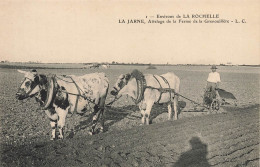 La Jarne * Attelage De La Ferme De La Grenouillère * Boeufs Agricole Machine Agriculture * Villageois * Env La Rochelle - Other & Unclassified