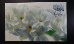 Aland - 2011 -  Christmas Maximum Card -  Greetings  - Flowers  - Obl/ Gestempeld - Aland