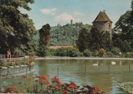 65167 - Weinheim - Im Schlosspark - 1965 - Weinheim