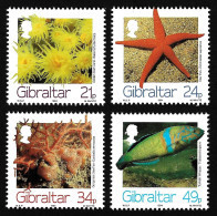 Gibraltar 1994 MNH Mi. 696 - 699 LUXE Marine Life Fish Seastar Сoral Anemone Undersea Sea Diving Ocean Stamps Full Set - Marine Life