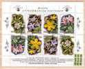 2006 Flora: Plants Of Strandja Mountain  Sheet –used / Oblitere (O) Bulgaria / Bulgarie - Used Stamps