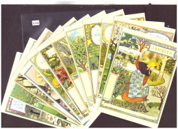 LA BELLE JARDINIERE - LES MOIS DE L'ANNEE  - 12 CARTES 10x15cm -  PAR EUGENE GRASSET - TB - Collections & Lots