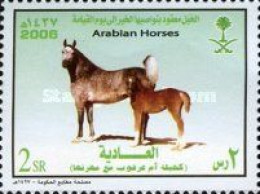 Horses - Arabie Saoudite