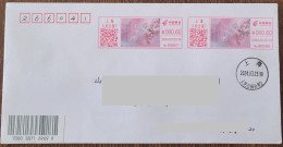 China Posted Cover "Haitang Meets You" (Shanghai) Colorful Postage Machine Stamp First Day Actual Mail Cover - Enveloppes