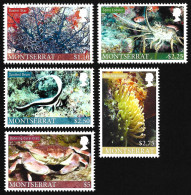 Montserrat 2010 MNH LUXE SG# 1450 - 1454 Marine Life Sea Star Lobster Anemone Crab Ocean Animals Fauna Nature FULL SET - Marine Life