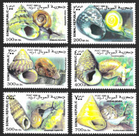 Somalia 1999 Shells Fauna Marinelife Coneshells Sea Conchiglie Shells Ocean Africa MNH Luxe Stamps Full Set - Coquillages