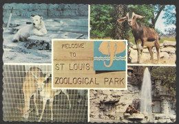 St Louis  Missouri - Welcome To St Louis Zoological Park (Zoo) Photo By Dennis Klemport - No: 62645-C - St Louis – Missouri