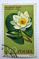 Weisse Wasserlilie ( Nymphaea Alba) Polen Briefmarke Gestempelt - Otros & Sin Clasificación