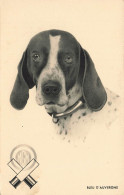 CHASSE * Cartouches M.G.M. , Bleu D'auvergne * CPA Publicitaire Illustrateur * Chien Dog Race * Chasse Hunt Hunting - Jagd