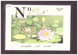 FORMAT 10x15cm - L'ALPHABET DE LA NATURE - TB - Colecciones Y Lotes