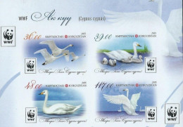 Kyrgyzstan 2015 WWF Whooper Swan Block 2x2 Of 4 Rare Imperforates Stamps MNH - Unused Stamps