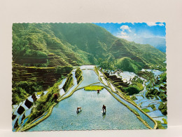Banaue RICE TERRACES The Mountain Tribes PHILIPPINES Postcard - Philippinen