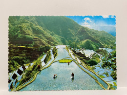 Banaue RICE TERRACES The Mountain Tribes PHILIPPINES Postcard - Filippijnen