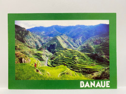 Banaue RICE TERRACES The Mountain Tribes PHILIPPINES Postcard - Filippijnen