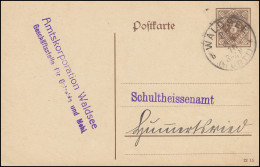 Dienstpostkarte DP 11Ib/13 Ziffer 3 Pf Braun DV 1215, WALDSEE (WÜRTT.) 21.6.1916 - Postwaardestukken
