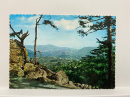 BAGUIO CITY PHILIPPINES Postcard - Filippine