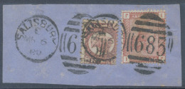 GB QV ½d Plate 14 (HW) Together With 1d Venetian Red (IJ) Superb Used On Piece With Duplex „SALISBURY / 683“, Wiltshire - Gebruikt