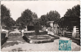 CPSM DE L'ISLE-SUR-SORGUES  (VAUCLUSE)  JARDIN DE LA CAISSE D'ÉPARGNE - L'Isle Sur Sorgue