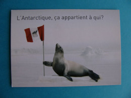 Cp L' Antarctique , ça Appartient à Qui ? - Ohne Zuordnung
