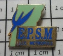 713M Pin's Pins / Beau Et Rare / MEDICAL / EPSM LILLE METROPOLE SANTE MENTALE - Medici