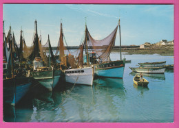 D29 - LESCONIL (SUD FINISTÈRE) - PORTS BRETONS - Plusieurs Bateaux -Filets De Pêche - Barques - CPM Grand Format   - Lesconil