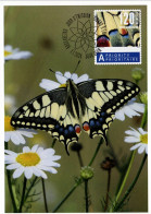 Delcampe - Maximumkarte 2024 Naturmuster - Schmetterling - Maximumkarten (MC)
