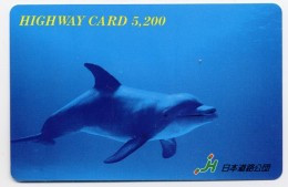 Dauphin Poisson Fish Animal Mer Carte  Japon Card  W311 - Pesci