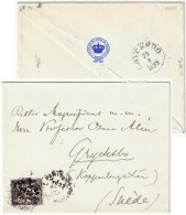 FRANCE 1899 Yv.97 Sur LSC De " PARIS-34 / AVENUE MARCEAU " à GRYCKSBO, Suède (de La Légation De Suède & Norvège à Paris) - 1876-1898 Sage (Type II)