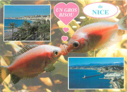 Animaux - Poissons - CPM - Voir Scans Recto-Verso - Fish & Shellfish