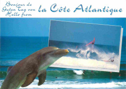 Animaux - Dauphin - Dolphin - Carte à Message - CPM - Carte Neuve - Voir Scans Recto-Verso - Delfines