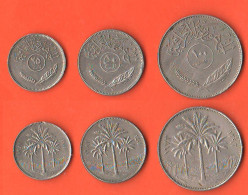 Iraq 25 + 50 Fils 1981 E 100 Fils 1972 Nickel Asian Nickel Coin - Iraq