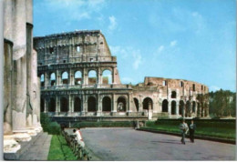 ROME. - COLISÉE - Kolosseum