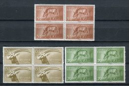 Sahara 1955. Edifil 123-25 X 4 ** MNH. - Spanish Sahara