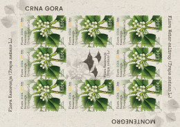 2024 Flora Of Kasoronja (Trapa Natans L.), Montenegro, MNH - Montenegro