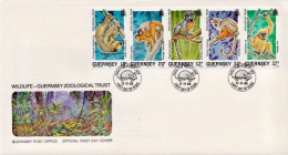 Guernsey Set On FDC - Scimmie