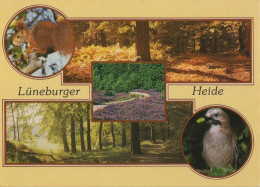 34633 - Lüneburger Heide - Mit 5 Bildern - Ca. 1990 - Lüneburger Heide