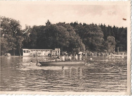 LAC DE VIRELLES Bains Et Plongeoir - Chimay