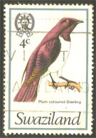 844 Swaziland Oiseau Bird Vogel Uccello Plum Starling Étourneau Storno (SWZ-33c) - Swaziland (1968-...)