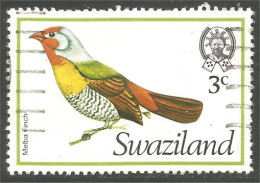 844 Swaziland Oiseau Bird Vogel Uccello Melba Finch Fringuello Fink Bouvreuil (SWZ-32a) - Swaziland (1968-...)