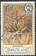 844 Swaziland Fleur Flower Blume Aloe Marlothii Aloes (SWZ-29d) - Otros & Sin Clasificación