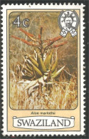 844 Swaziland Fleur Flower Blume Aloe Marlothii Aloes (SWZ-29c) - Otros & Sin Clasificación